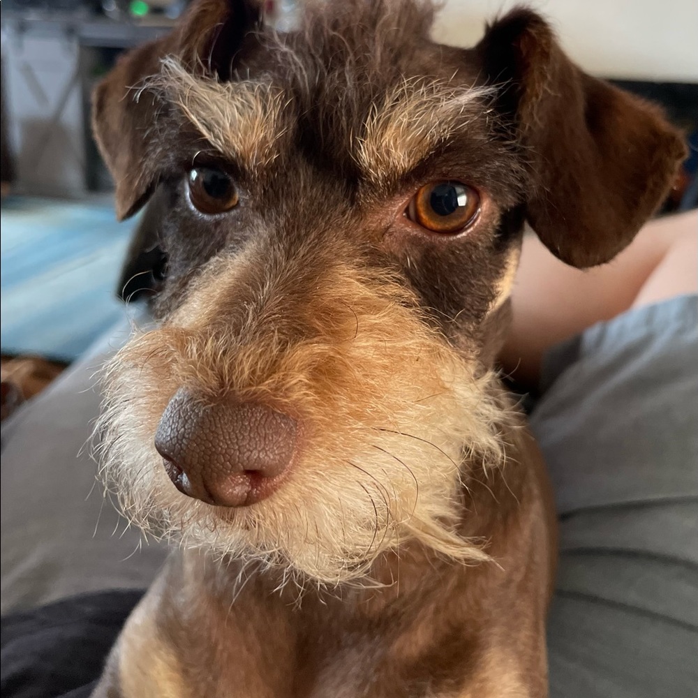 Meet your Posher, Janelle